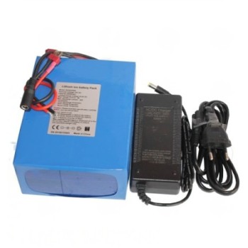 Pacco Batteria Litio DC 24V 20.000mA + Caricabatteria