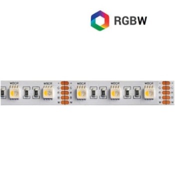Striscia LED RGB+W DC 24V 5Mt 60 LED/Mt IP65 "singolo...
